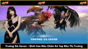 Trường Gà Savan – Đỉnh Cao Đấu Chiến Kê Top Đầu Thị Trường
